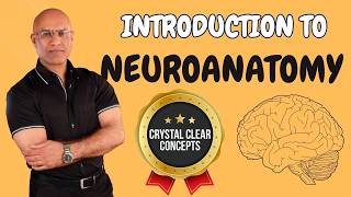 Intro to Neuroanatomy  Neurophysiology  Neuroscience  Central Nervous System [upl. by Cirdnek]