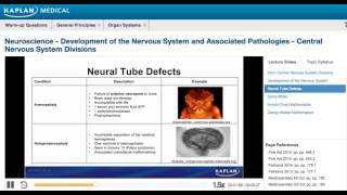 Intro to Neuroanatomy  Neurophysiology  Neuroscience  Central Nervous System [upl. by Ybeloc]