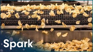 How Are Potato Chips Made In Factories  Making Goods  Spark [upl. by Catton509]