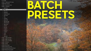 BATCH Apply Presets in Lightroom Classic [upl. by Kerred]