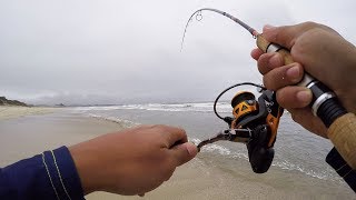 ULTRALIGHT Micro Surf Fishing Surprise [upl. by Sudnor]