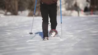 HowtoSnowshoe Learn the basics from the experts  LLBean [upl. by Oravla631]