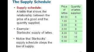 Microeconomics Chapter 4 [upl. by Campbell]