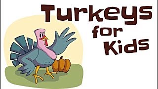 Turkeys for Kids [upl. by Ahsatsana]