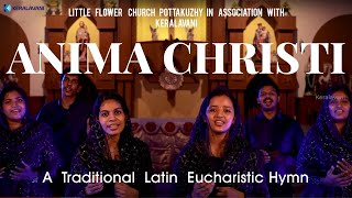 Anima Christi  Soul of Christ  Traditional Latin Hymn [upl. by Lletnohs]