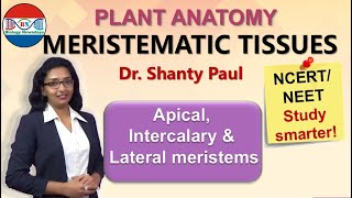 Meristematic tissues  Anatomy of flowering plants [upl. by Laden]