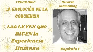 4  Las LEYES que RIGEN la Experiencia Humana  Gerardo Schmedling [upl. by Drabeck]