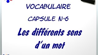 V6  Les différents sens dun mot  La polysémie 6 [upl. by Eolc]