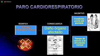 Fisiopatología del Paro Cardiorespiratorio PCR [upl. by Hekking]