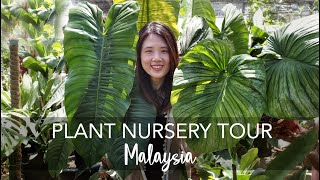 Plant Nursery Tour in Malaysia  Exotic Rare amp OVERSIZED Tropical Plants with 40 plant IDs [upl. by Eceirehs412]