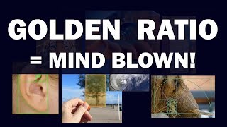 Golden Ratio  Mind Blown [upl. by Maleen]