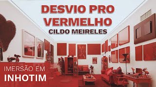 CILDO MEIRELES NO INHOTIM INSTALAÇÃO quotDESVIO PRO VERMELHOquot [upl. by Katzman]