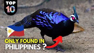 10 RARE Animals Only Found in the Philippines 🇵🇭 [upl. by Ainolloppa239]