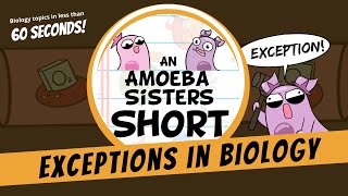 Biology and Its Fascinating Exceptions  Amoeba Sisters Shorts [upl. by Honora746]