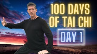 Learn Tai Chi at Home in 100 Days [upl. by Geehan]