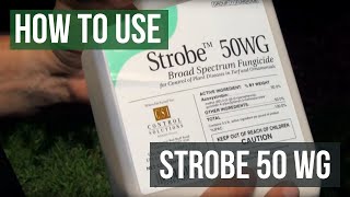 Strobe 50 WG Fungicide Azoxystrobin How To Use [upl. by Llenrev]