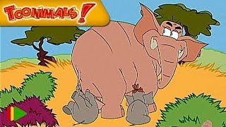 Toonimals  17  The Elephant  Full Episode [upl. by Leonore628]