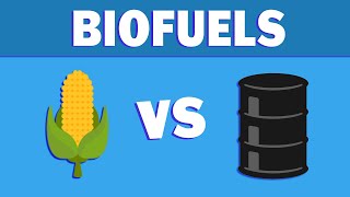 What are Biofuels and Where are They Going [upl. by Remmer686]