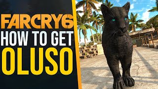 How to get the BEST AMIGO Oluso in Far Cry 6 [upl. by Ateloiv]