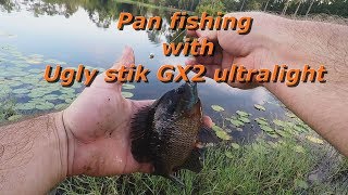 Pan fishing with ugly stik GX2 ultralight [upl. by O'Callaghan]