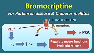 Bromocriptine for both Pakinson disease and Diabetes Mellitus [upl. by Mirelle]