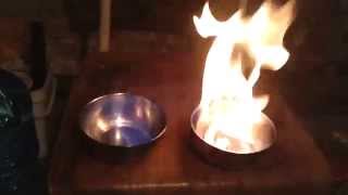 Burn Pure Methanol Vs Pure Ethanol [upl. by Hsirt457]