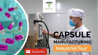 Capsules Manufacturing Process  Soft Gelatin Capsules [upl. by Narruc]