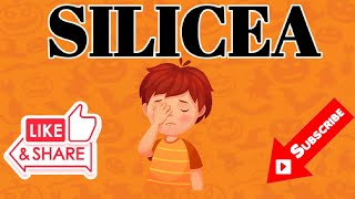 SILICEA HOMOEOPATHIC MEDICINEDRUG PICTURE [upl. by Hsak817]