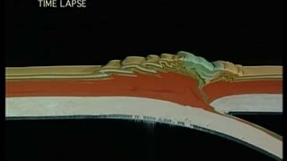 Plate Tectonics  How Mountains are Made [upl. by Tillo122]