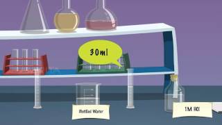 Kinetics Study on the Reaction between Sodium Thiosulphate and Hydrochloric Acid  MeitY OLabs [upl. by Eldoria]