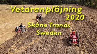 Plöjning Skåne Tranås 2020 [upl. by Naara607]