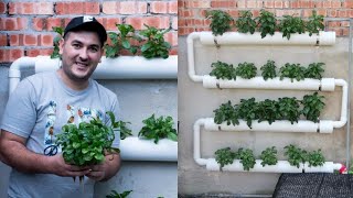 How To Make inexpensive Hydroponic System and start Hydroponics Garden At home 2021 [upl. by Noir]