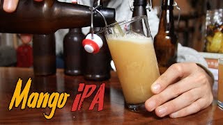 Idiots Guide to Making Incredible Beer at Home [upl. by Siryt]