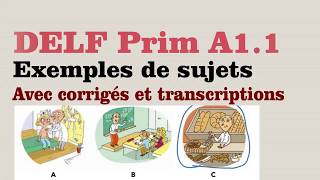 DELF Prim A11  Exemples de sujets  vidéo 04 [upl. by Ivonne]