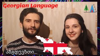 Hoda Lesson 11  Learn Georgian Language  Georgian Alphabet Letters learngeorgianlanguage 🇬🇪 [upl. by Pouncey]