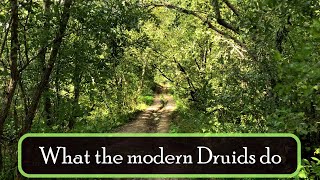 What do the modern Druids do [upl. by Dnarud]