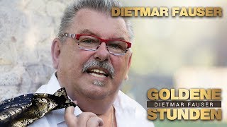 Dietmar Fauser  Goldene Stunden MUSIKTIPP [upl. by Malka230]