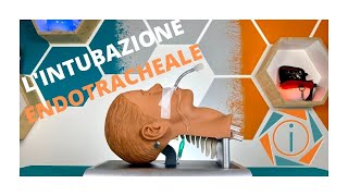 LINTUBAZIONE ENDOTRACHEALE  LE VIE AEREE  INFERMIERI online [upl. by Jolda]