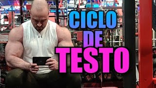 CICLO DE TESTO EL MEJOR PARA PRINCIPIANTES [upl. by Filmer22]