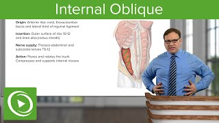 Minimally Invasive Oblique Lateral Lumbar Interbody Fusion OLLIF  the Minnesota Spine Institute [upl. by Eerrehc]