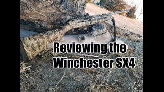 Reviewing the Winchester SX4  Hunting Boot Camp [upl. by Ulani]