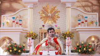 വിശുദ്ധ കുർബാന Holy Mass Malayalam Syro Malabar  FrNaveen Ukken  8281557326 Munippara church [upl. by Christmann]