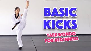 Learn Martial Arts 3 Basic Kicks for Beginners [upl. by Alleris]