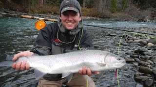 BC Steelhead Fly Fishing  Skeena River British Columbia [upl. by Doe161]