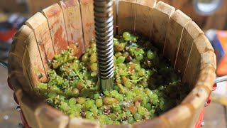 Making a White Wine from Grapes [upl. by Bubb]