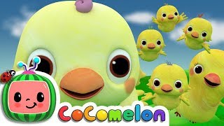 Five Little Birds 2  CoComelon Nursery Rhymes amp Kids Songs [upl. by Vergil]