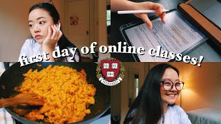 first day of online classes harvard sophomore vlog  premed neuroscience 🧠 [upl. by Dorolice]