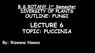 Puccinia by Rizwana Nawaz [upl. by Asena]