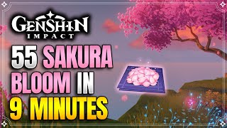 Sakura Bloom Locations  Fast and Efficient Route  Ayaka Ascension Materials 【Genshin Impact】 [upl. by Gnut]