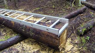 Milling logs into Lumber [upl. by Hosbein]